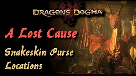 snakeskin purse dragon's dogma|dragon's dogma snakeskin purse location.